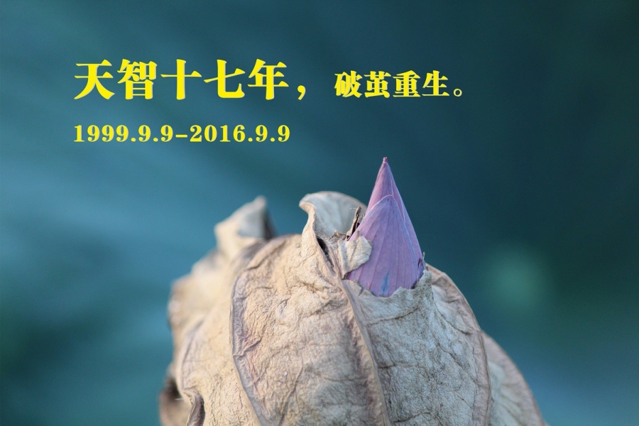 天智十七年，破繭重生。