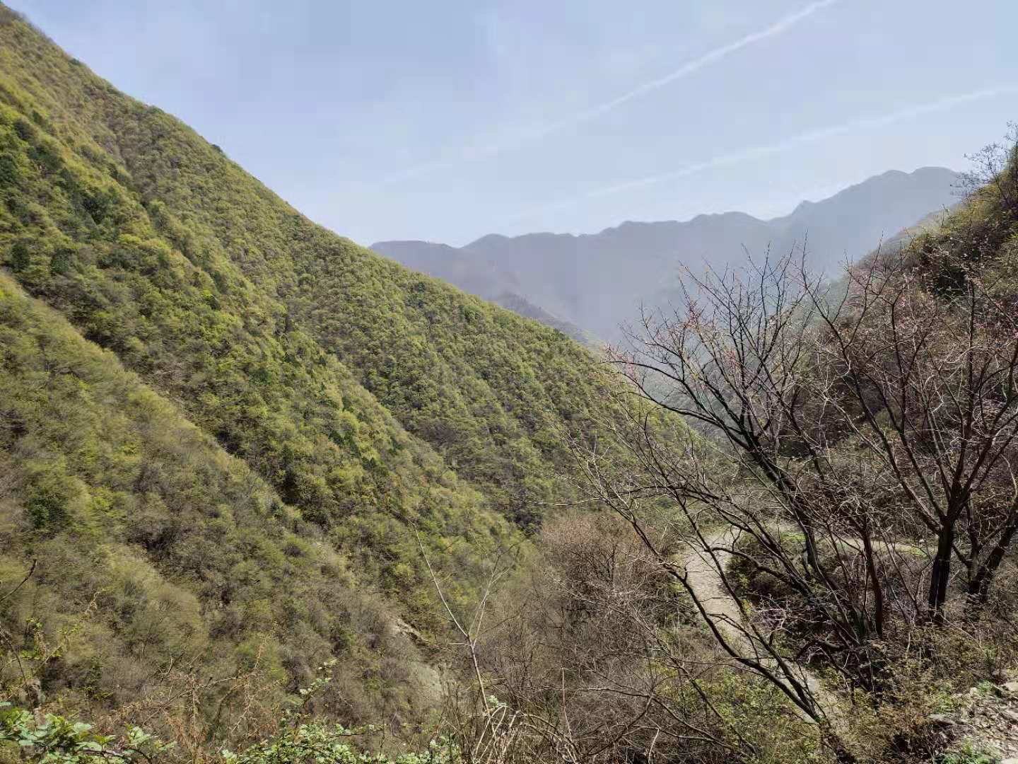 團(tuán)建，春到老縣城。(圖2)