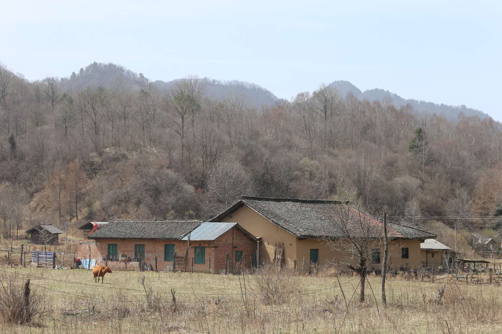 團(tuán)建，春到老縣城。(圖12)