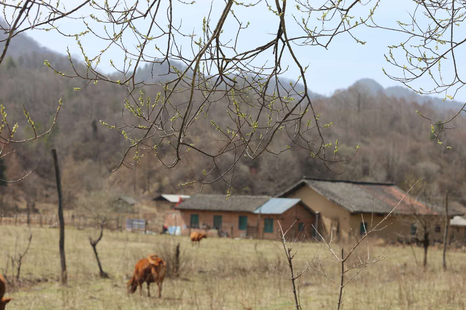 團(tuán)建，春到老縣城。(圖13)